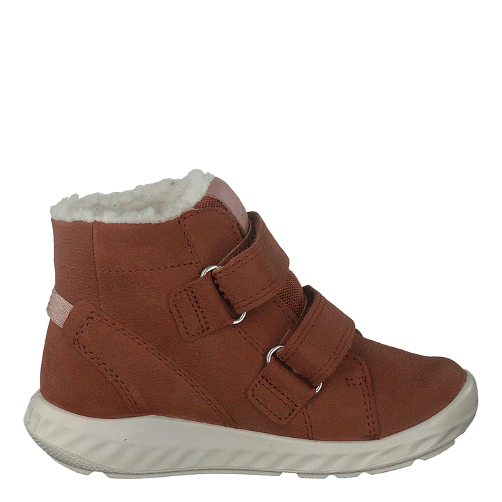 Ecco Sp.1 Lite Infant Sierra - Heppo.com