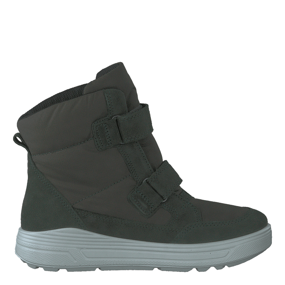 Ecco Urban Snowboarder Deep Forrest/deep Forrest - Heppo.com