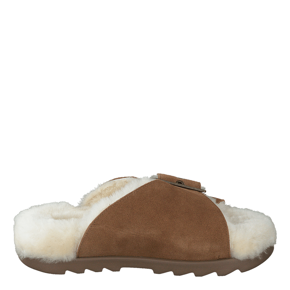 W Outslide Buckle Chestnut Suede - Heppo.com